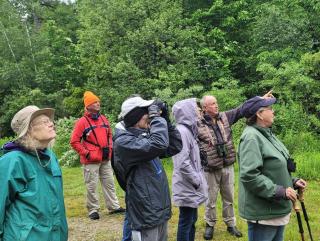 Several people with binoculars look toward the sky to see a bird in a birding program hosted by the EK Conservation Commission. 